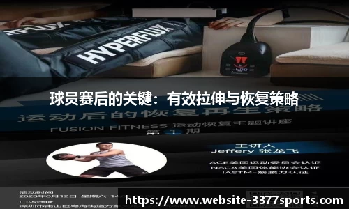 3377体育
